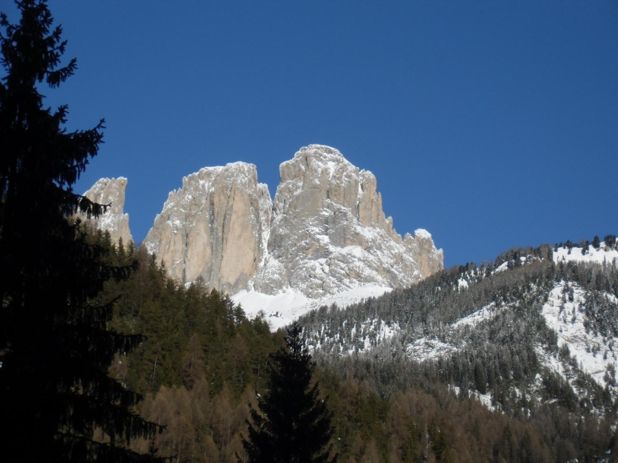 Hotel Garni Festil Campitello di Fassa Esterno foto