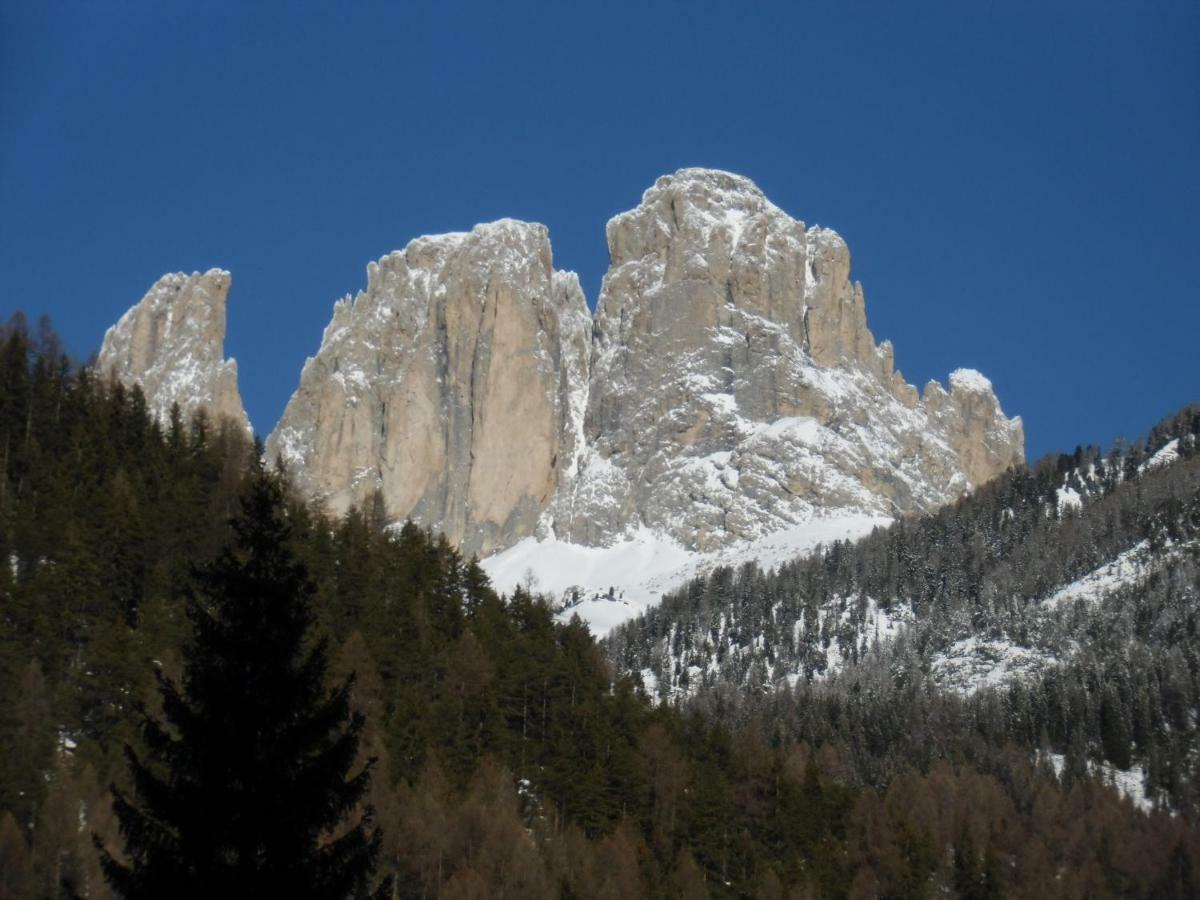 Hotel Garni Festil Campitello di Fassa Esterno foto