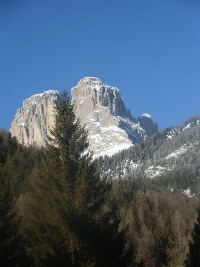 Hotel Garni Festil Campitello di Fassa Esterno foto