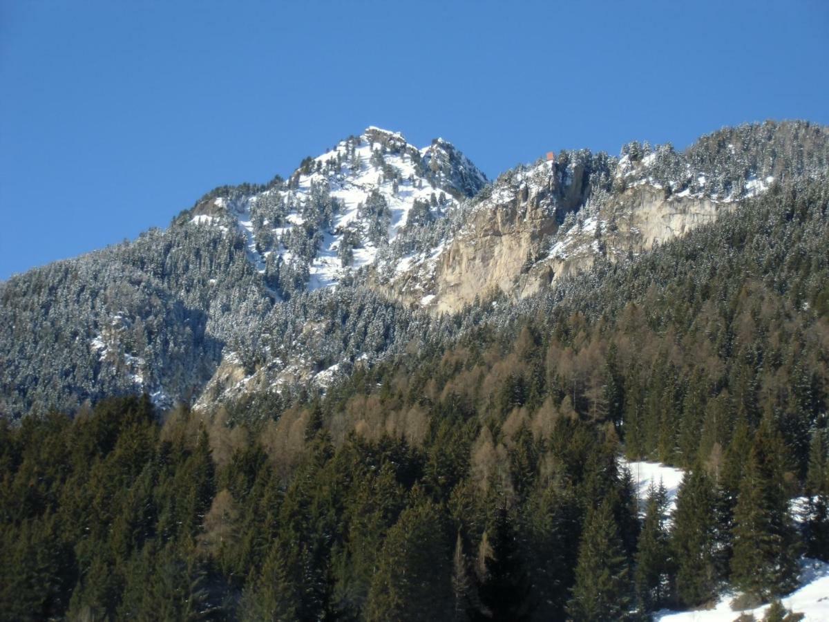 Hotel Garni Festil Campitello di Fassa Esterno foto